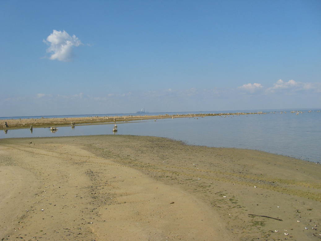 Cross, SC: Lake Moultrie dry spell