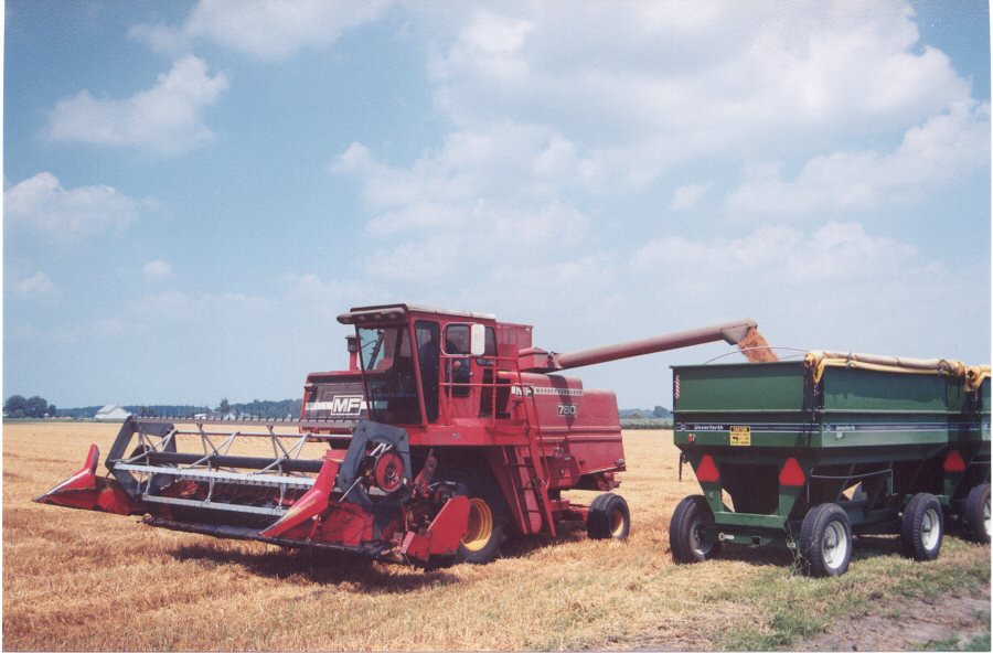 Gibsonburg, OH: Harvest Time