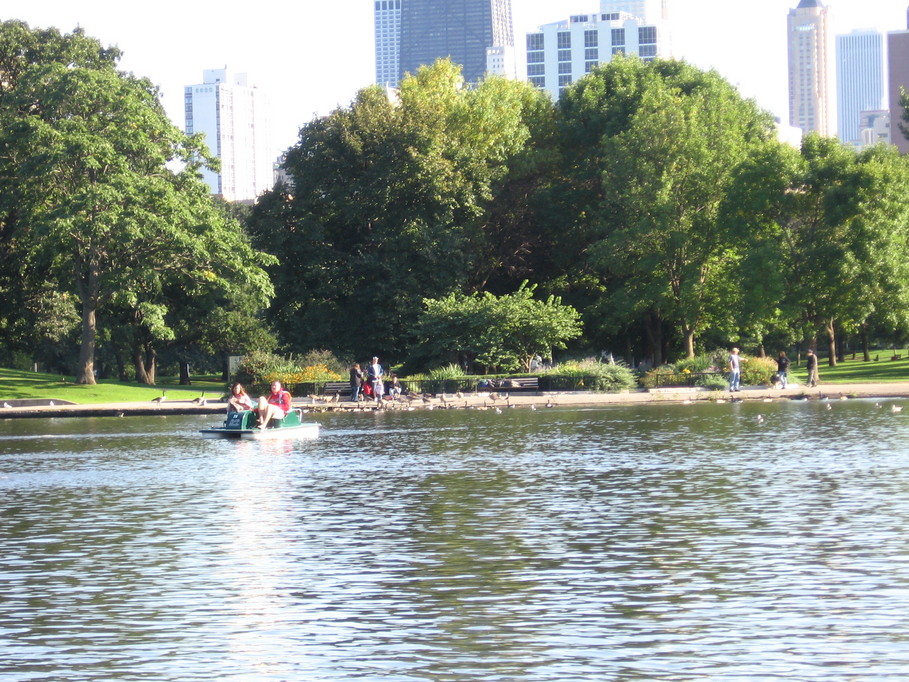 Chicago, IL: paddle boating the Lincoln Park Zoo pond