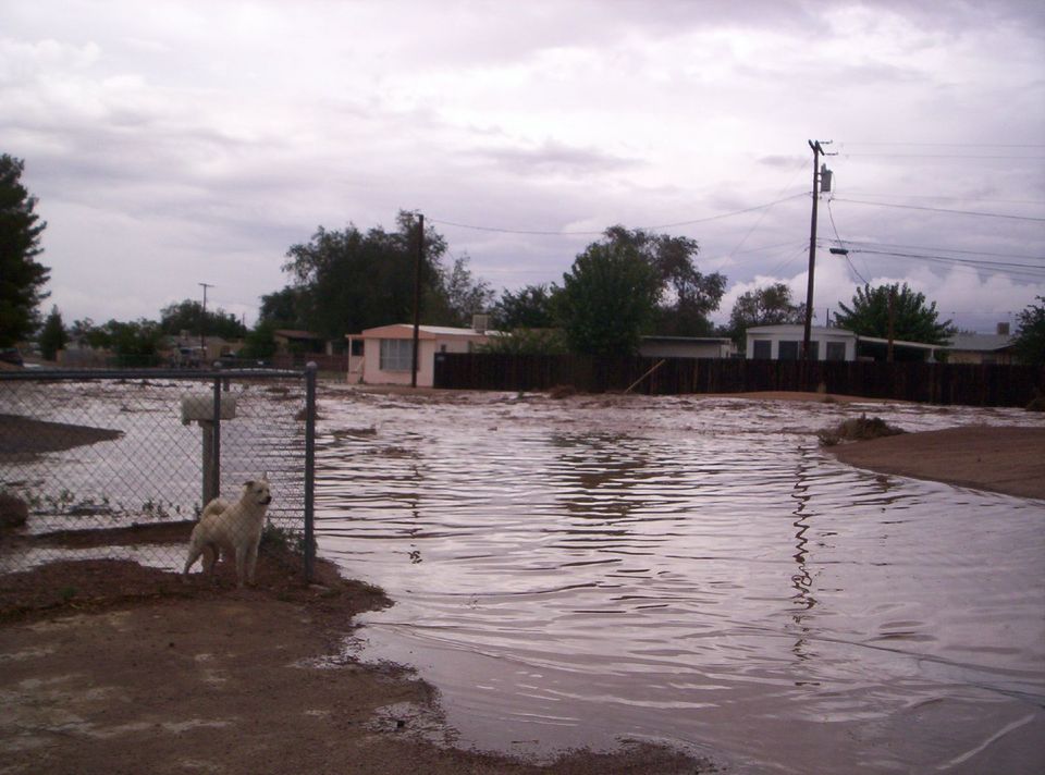 Kingman, AZ: Monsoon Flooding