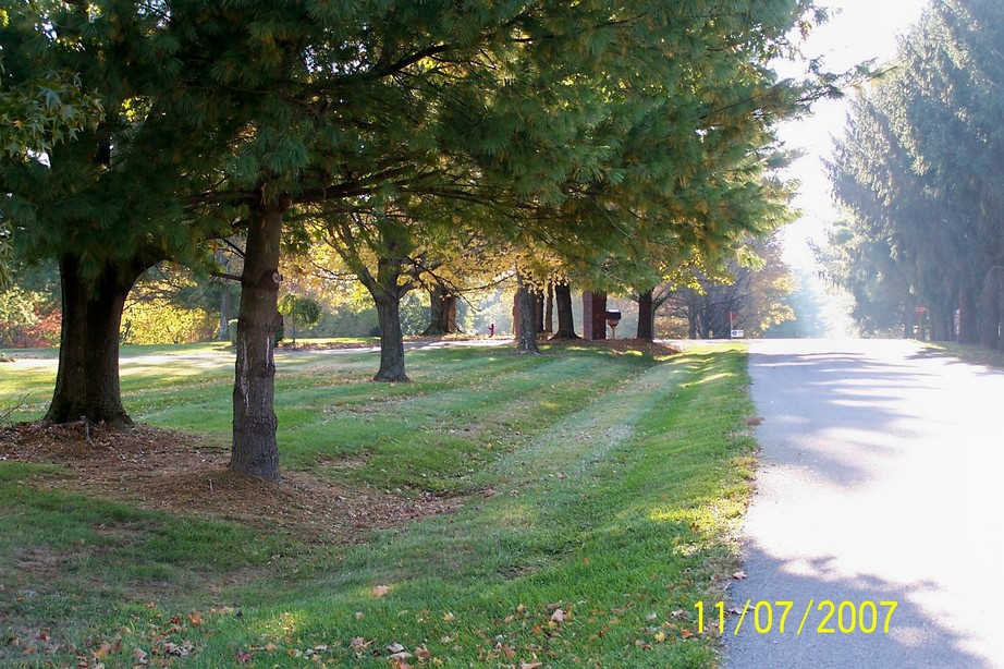Goshen, KY North of Goshen off 42 Taylor Rd community photo, picture