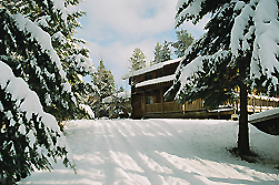 Athol, ID: A winter wonderland