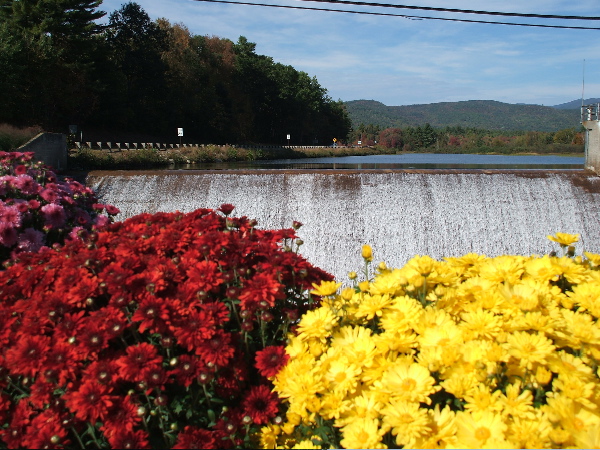 Campton, NH: Beautiful Campton Falls Dam, NH