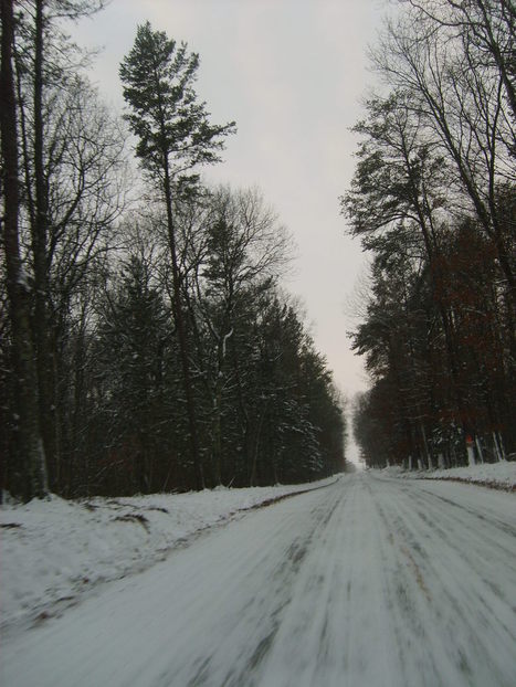 East Gull Lake, MN Poplar Drive in December photo, picture, image ... picture