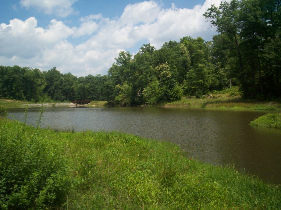 Craigsville, WV: The back side of Indian rocks pond