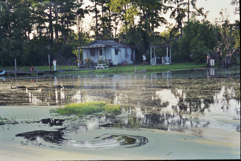 Norco, LA a little place of paradise photo, picture, image (Louisiana