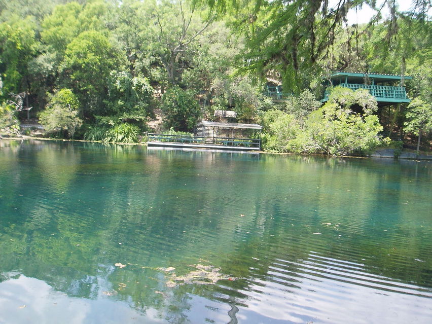 San Marcos, TX: Aquarena Springs