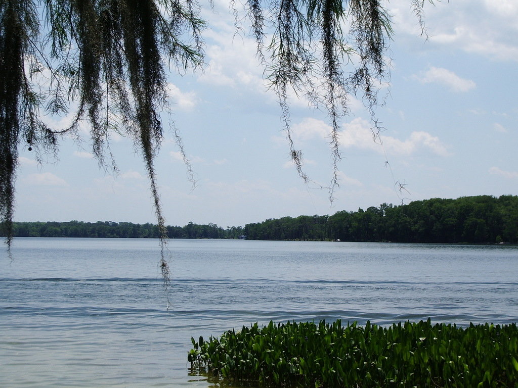 Florala, AL Lake Jackson photo, picture, image (Alabama) at