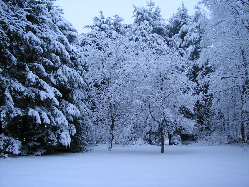 Conklin, NY: Winter 2005