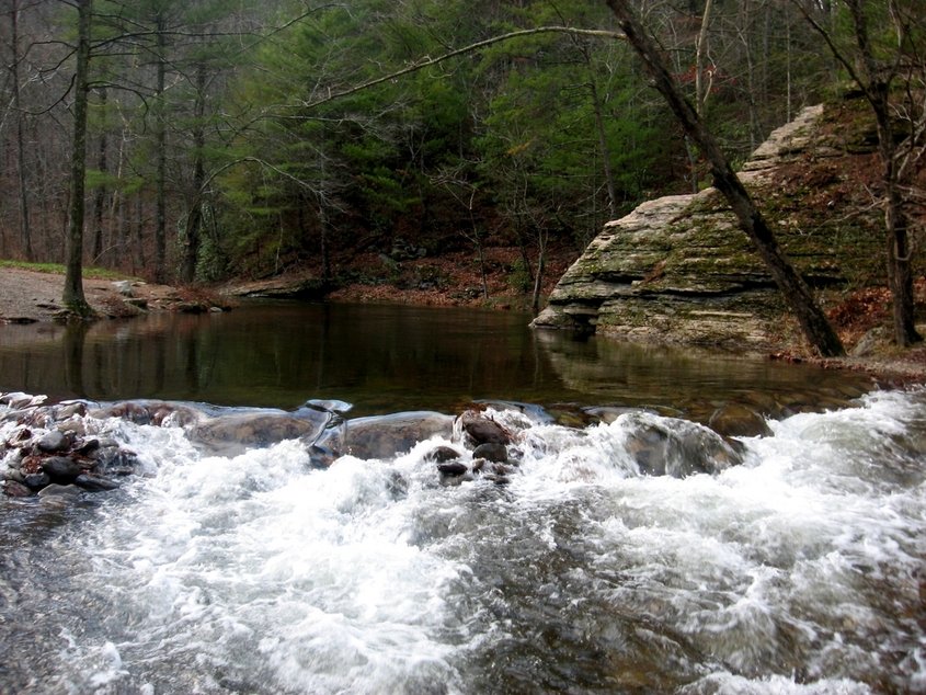 Vonore, TN: CITICO CHEROKEE NATIONAL FOREST