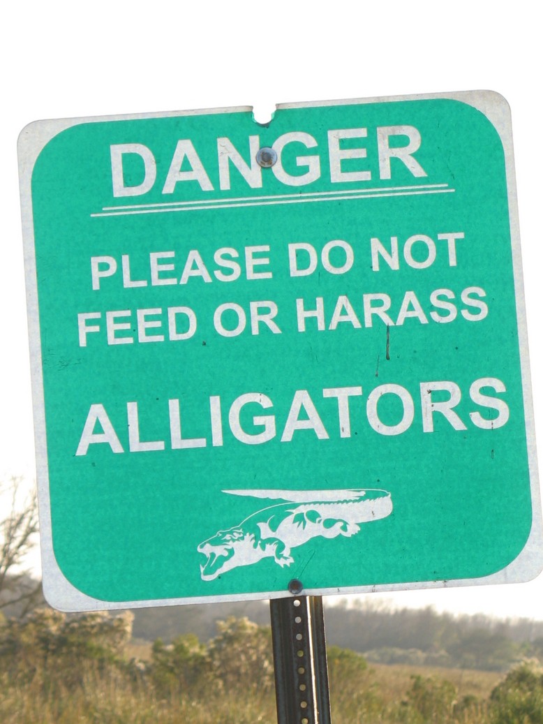 Fernandina Beach, FL: Alligator sign along Egan's Creek, Fernandina Beach