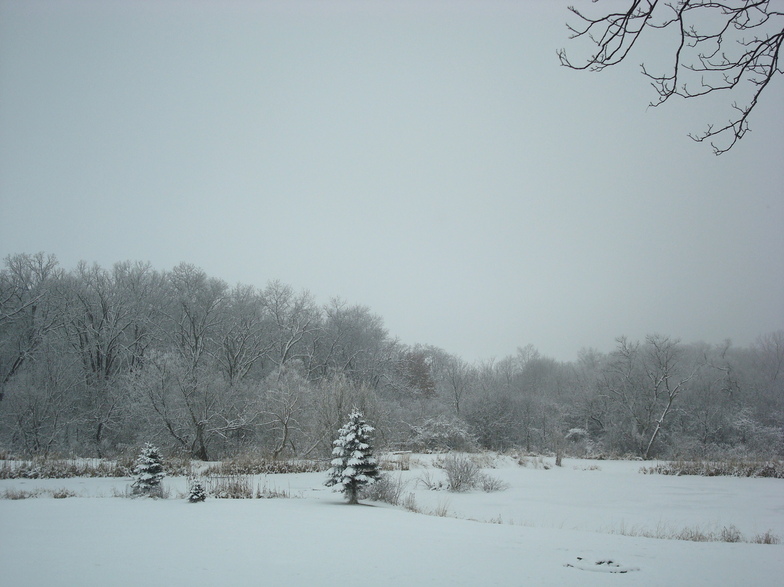 Davis Junction, IL: Snowfall in Davis Junction IL