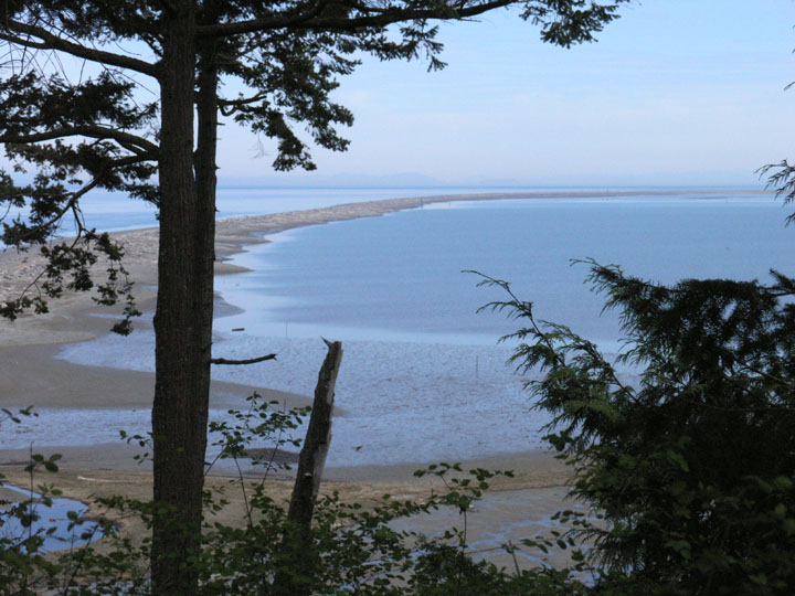 Sequim, WA Dungeness Spit photo, picture, image (Washington) at city