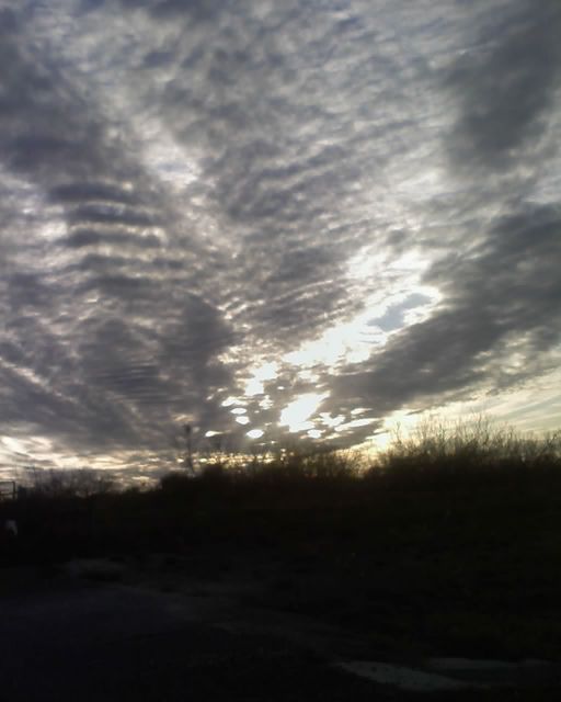 Carrizo Springs, TX CARRIZO SPRINGS, TX. UNDER A BEAUTIFUL SKY 01/01