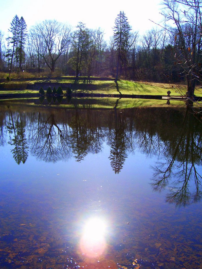 Cheshire, CT: picture taken next to Currier Woods