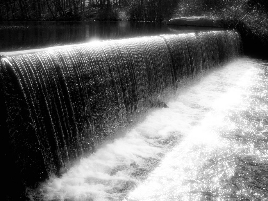 Cheshire, CT picture taken next to Currier Woods photo, picture