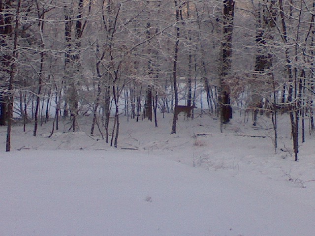 Monroe, PA: Morning snow