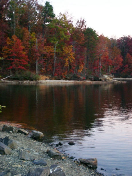 Shelby, NC: Moss Lake