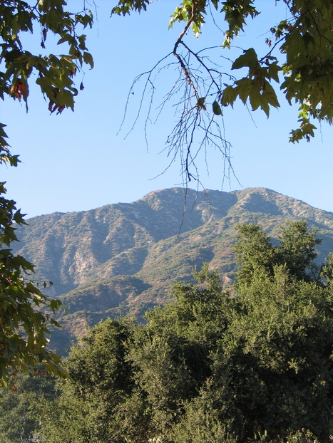 Sierra Madre, CA: View to the North