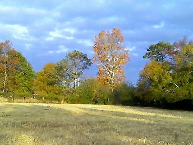 Palmetto, GA: Fall morning in Palmetto