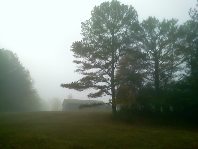 Palmetto, GA: foggy morning in Palmetto