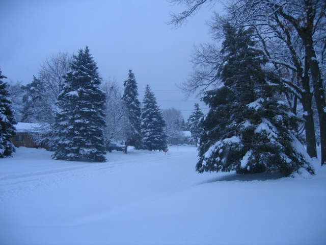 Utica, MI: Our first snowfall in Utica, 2008