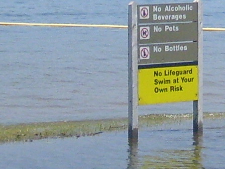 Stockton, MO: The beach at Stockton Lake. The water level was high!!