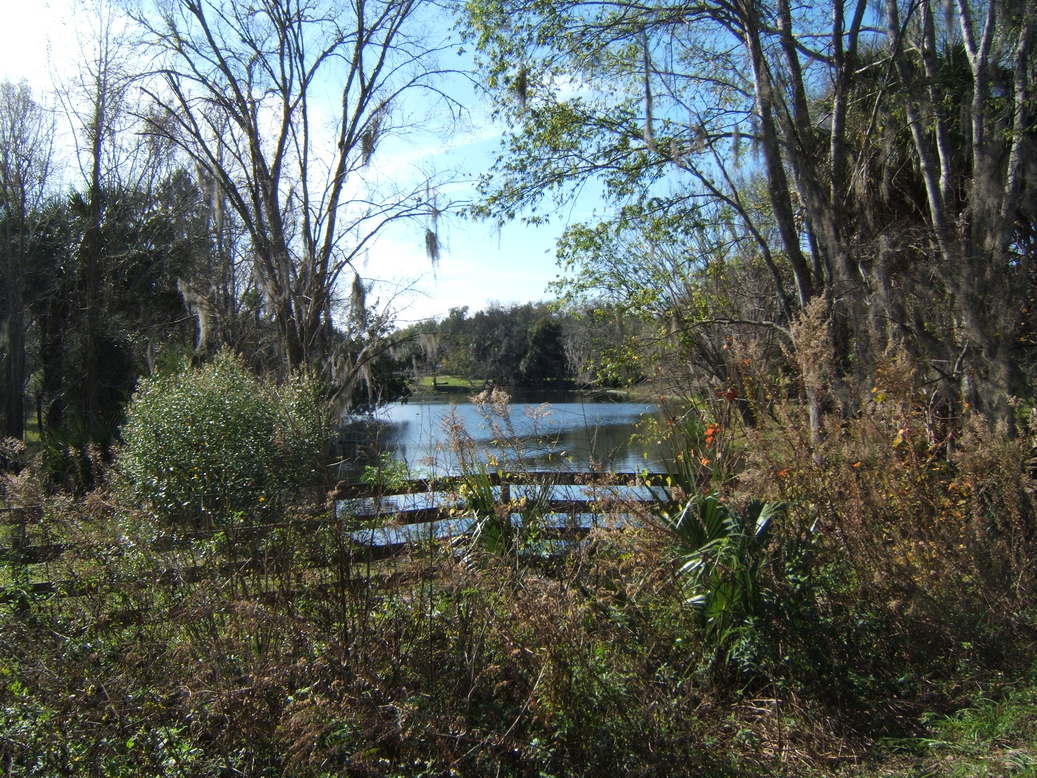 Reddick, FL: Small Lake