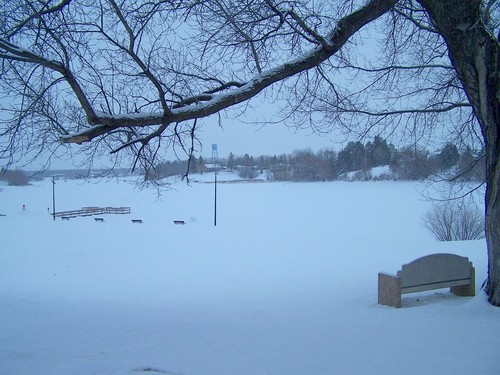 Baudette, MN: Willie Walleye Park in the winter, Baudette, MN