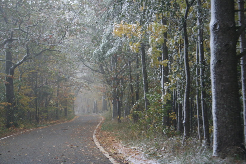 Harbor Springs, MI: Surprise October snowfall on M119