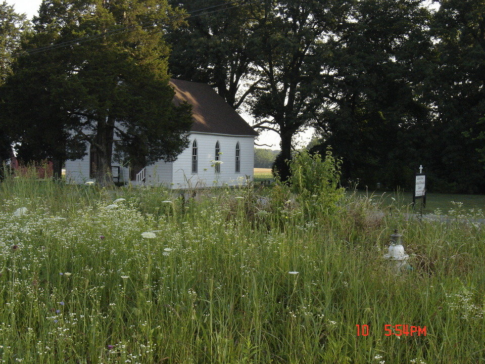 Cross Plains, TN Country Church photo, picture, image (Tennessee) at