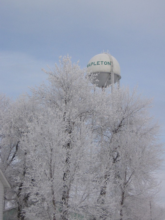 Mapleton, ND: Beautiful, Frosty Morning