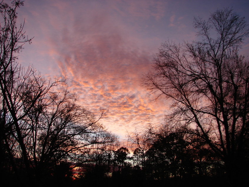 Vancleave, MS: "Red sky at morning"...Sunrise over Vancleave. Photo taken January 25, 2008 - 6:38am.