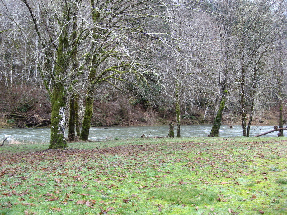 Philomath, OR: woody areas