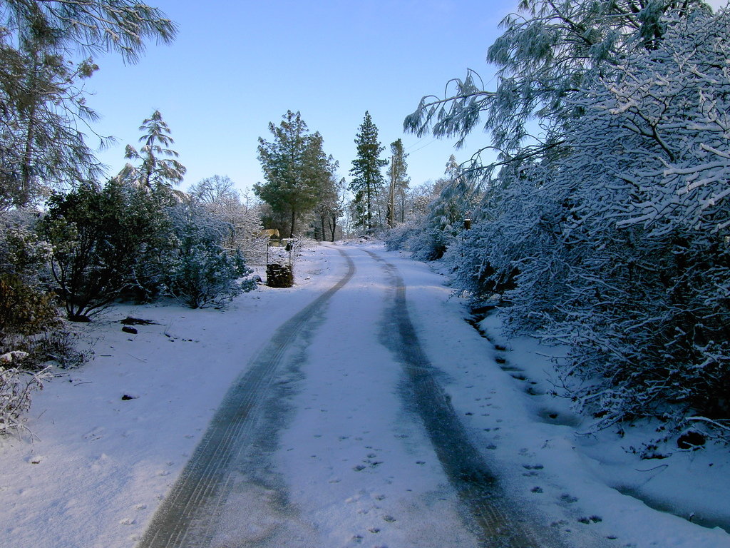 Shingletown, CA : Country road in winter in Shingletown photo, picture