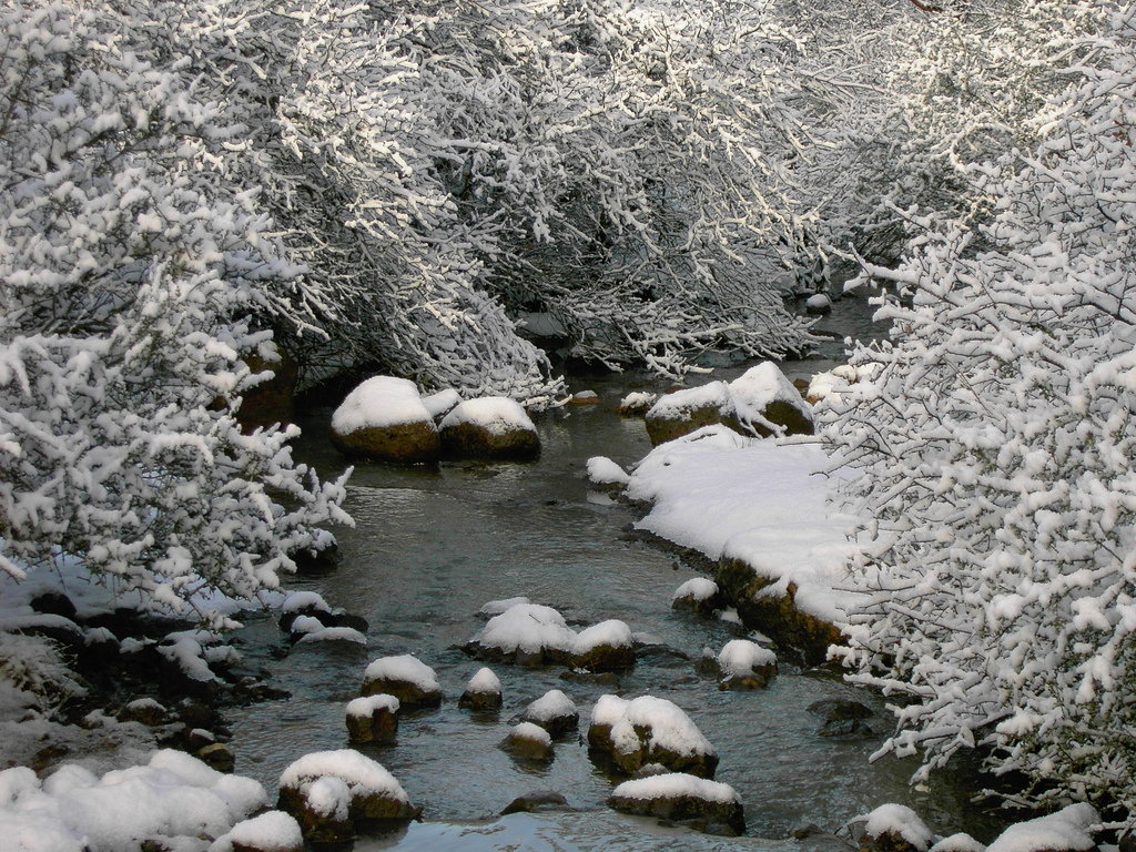 Shingletown, CA Creek in winter in Shingletown photo, picture, image