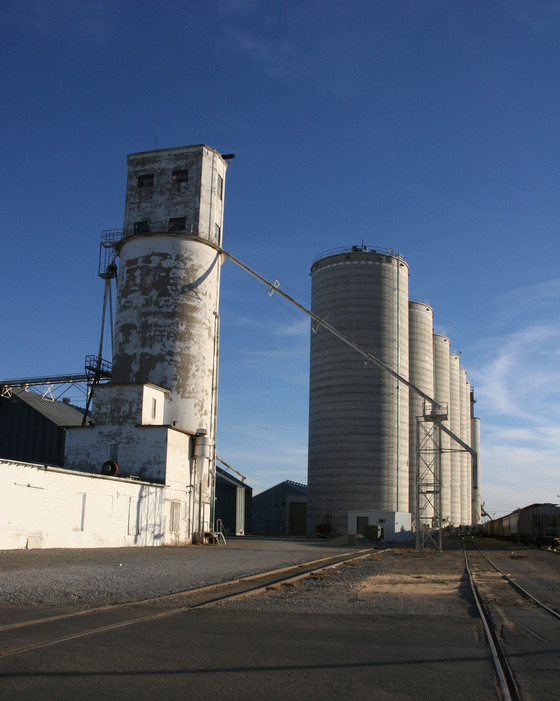 Watonga, OK Downtown photo, picture, image (Oklahoma) at