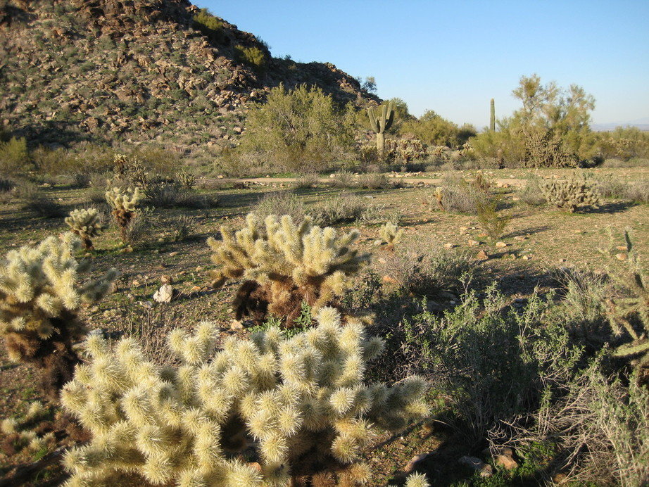 Surprise, AZ: Surprise park