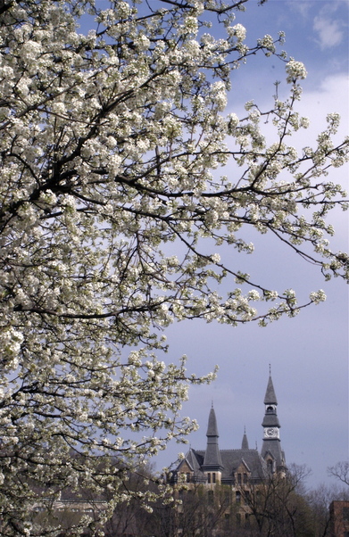 Parkville, MO: Park College, Parkville, MO