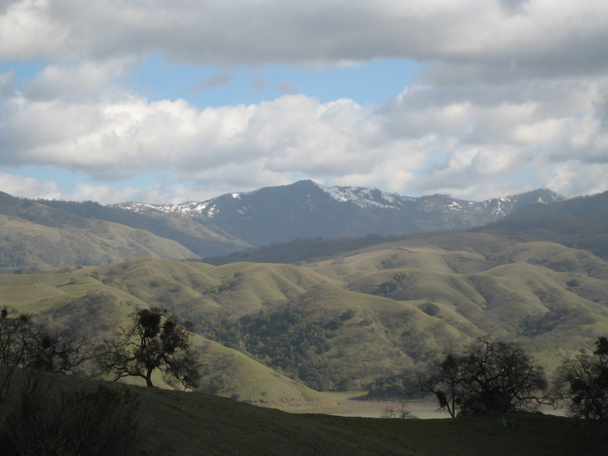 Milpitas, CA: Snowtop in winter time