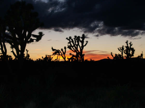 Dolan Springs, AZ: February Sunset in Dolan Springs