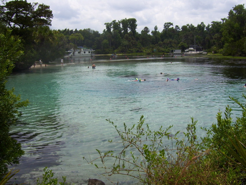 Ocala, FL : Silver Springs, Fl photo, picture, image (Florida) at city