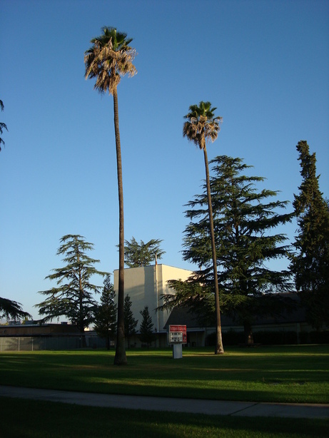 Patterson, CA: Infront the Patterson High School, that was my last day in Patterson...