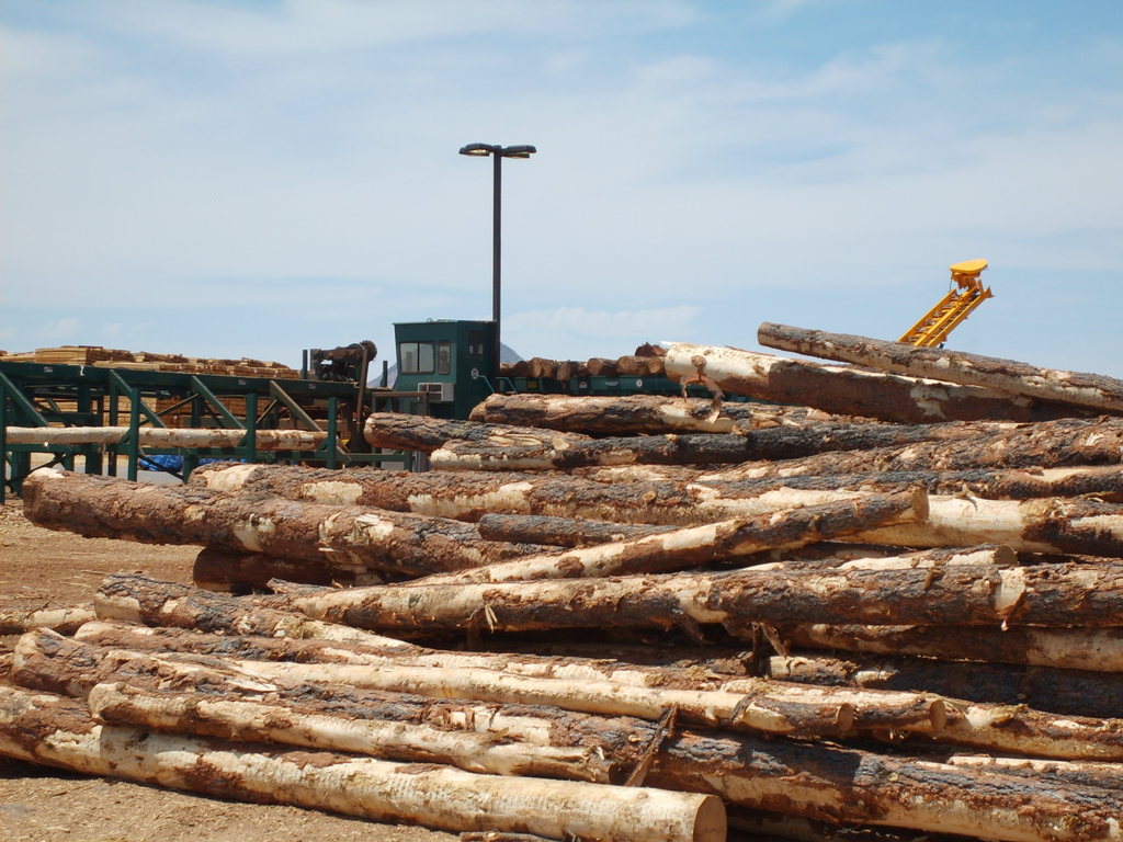 Ash Fork, AZ SW Forest Products lumber recycling on Historic Rt 66