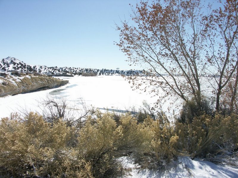 Farmington, NM: Farmington Lake in Winter