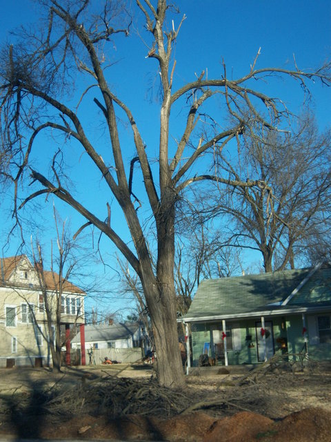 Lamar, MO: Ice Storm Damage on Gulf Street