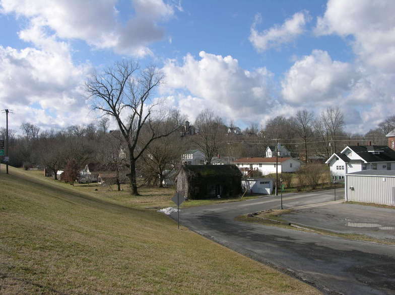 Golconda, IL: General view of Golconda, from the levee on the Ohio River