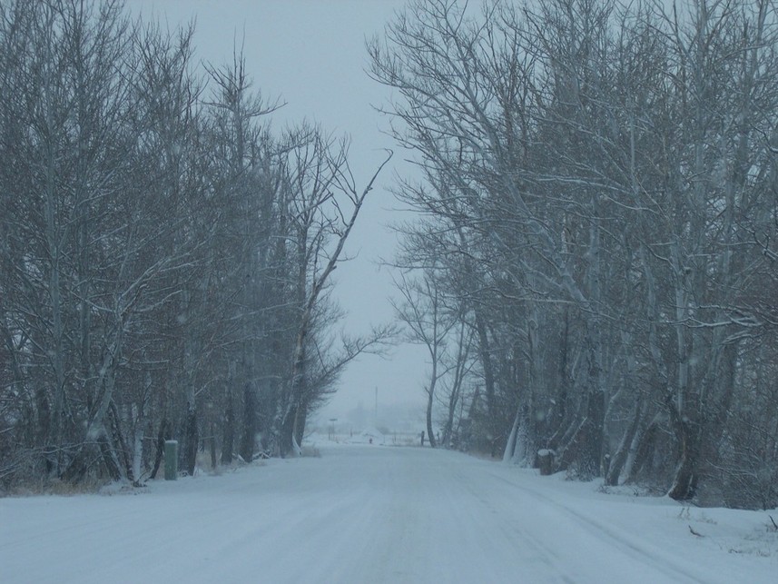 Grantsville, UT road near Willow elementary Grantsville utah photo