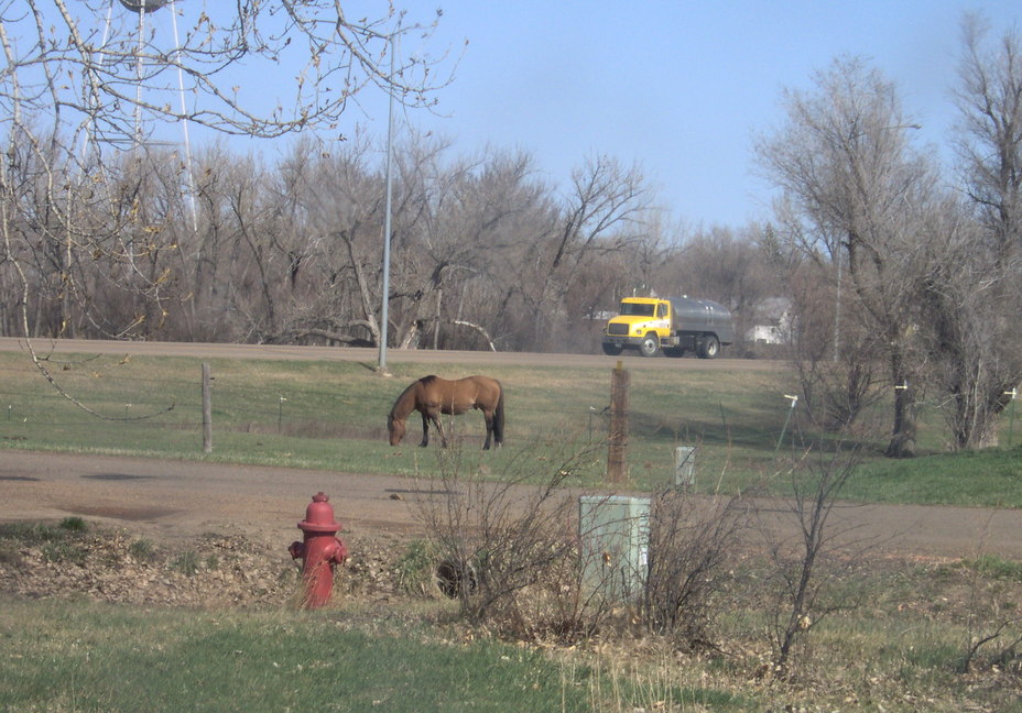 Wibaux, MT Heavy traffic in Wibaux photo, picture, image (Montana) at