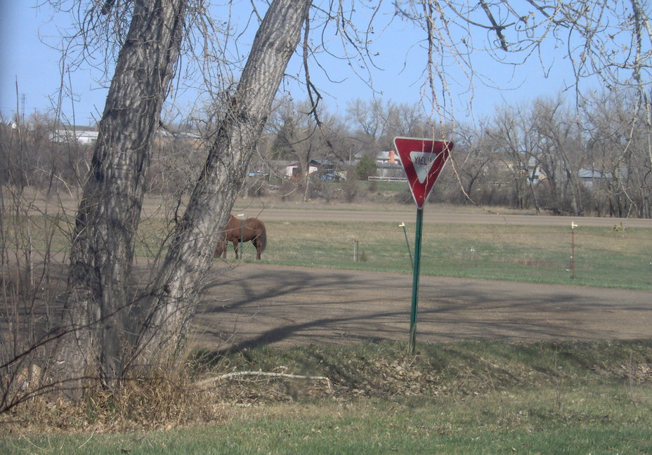 Wibaux, MT: Traffic laws are strictly enforced in Wibaux Montana